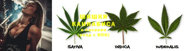 ешки Белокуриха
