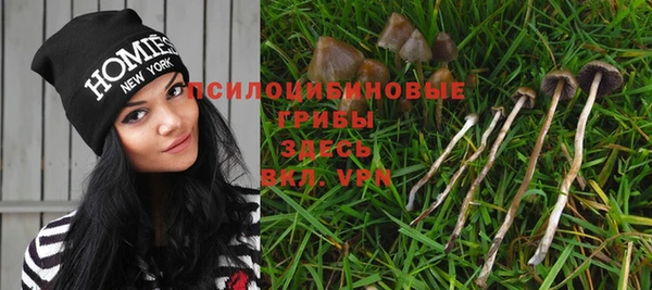 ешки Белокуриха