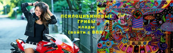 ешки Белокуриха