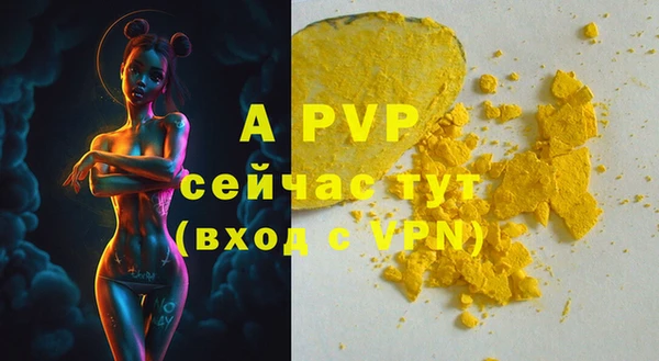 ешки Белокуриха