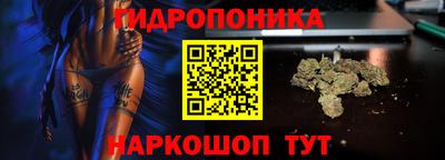 ECSTASY Ярославль