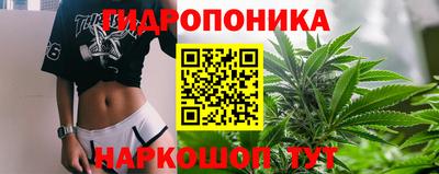 ECSTASY Ярославль