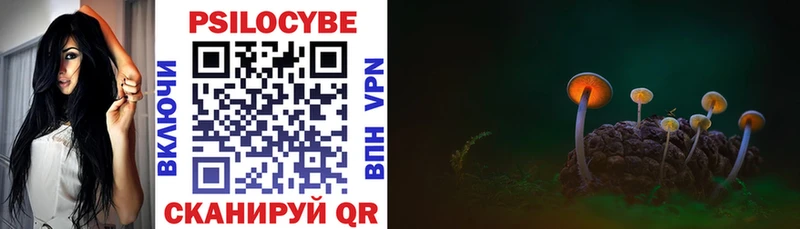 Псилоцибиновые грибы прущие грибы  Дагестанские Огни 