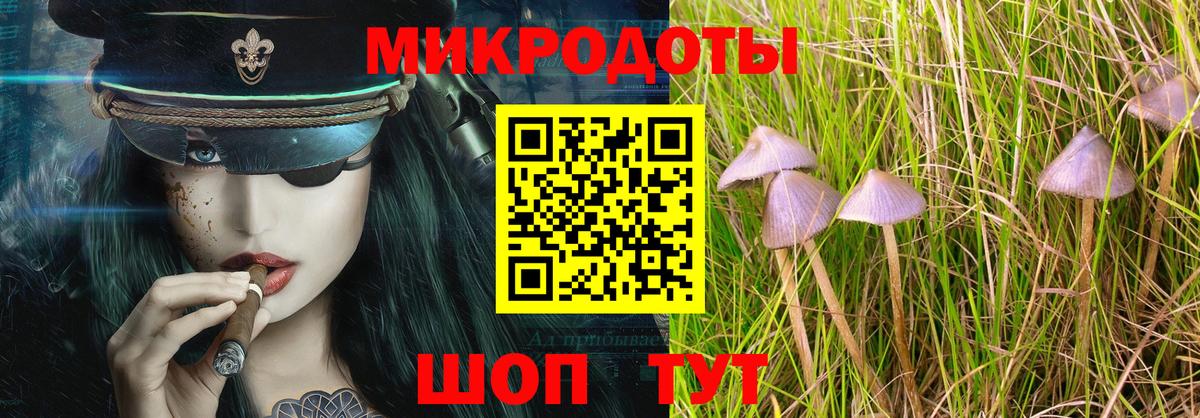 Галлюциногенные грибы Cubensis Дагестанские Огни