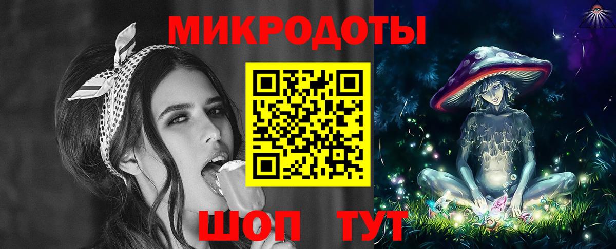 Галлюциногенные грибы Psilocybe  Вход с VPN  Дагестанские Огни 